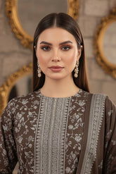 MOUSE GRAY BROWN 3Pc Premium Dhanak Printed Suits (Unstitched)