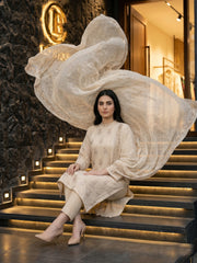Chiffon Embroidered 3Pc Suit (Unstitched)
