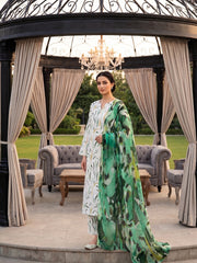SHADES OF GREEN Digital AIR JET DOBBY DORIA SUPREME QUALITY COTTON with Light weight Pure Crinkle Digital Dupatta 3pc Suit (Unstitched)