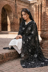 LAWN SHADOW 4 SIDE LACE WORK SHAWL